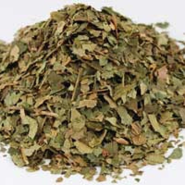 Witch Hazel Leaf cut 1oz (Hamamelis virginiana)