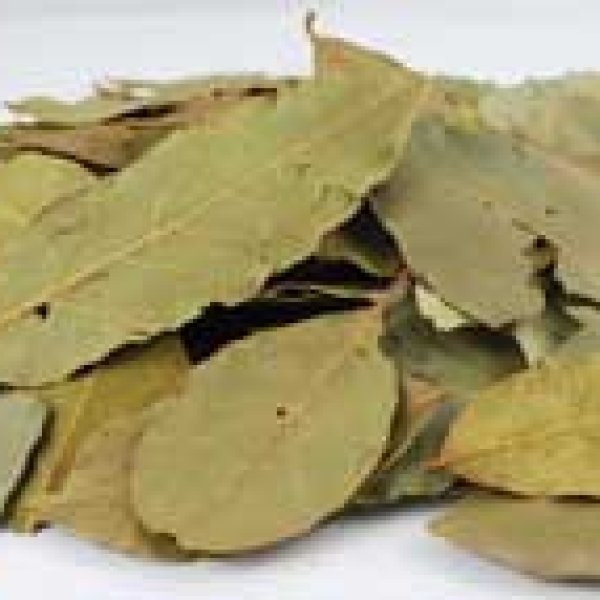 Bay Leaves, whole 2oz (Laurus nobilis)