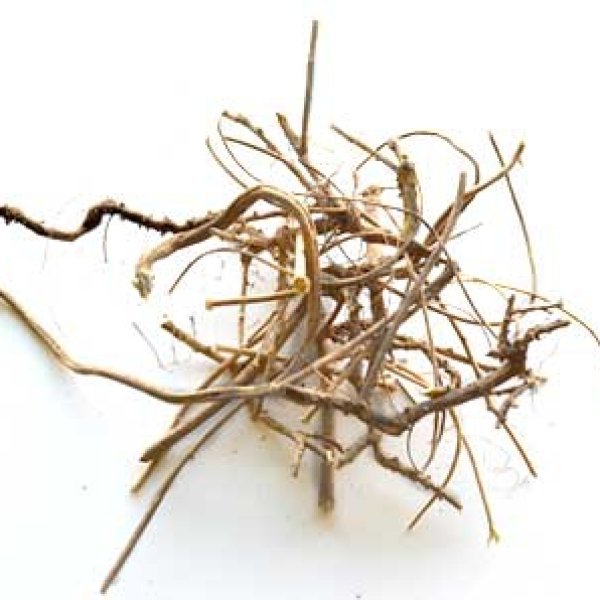 Devils Shoestring Root 2oz