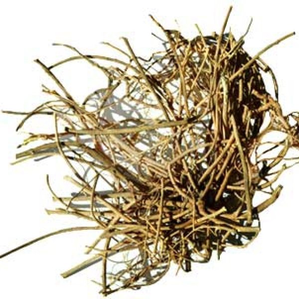 1 Lb Devils Shoestring root