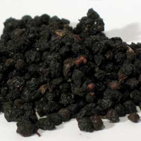 Elder Berries 2oz (Sambucus nigra)