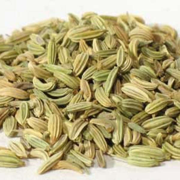 1 Lb Fennel Seed (Foeniculum vulgare)