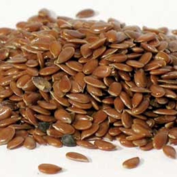 Flax Seed 4oz (Linum usitatissimum)