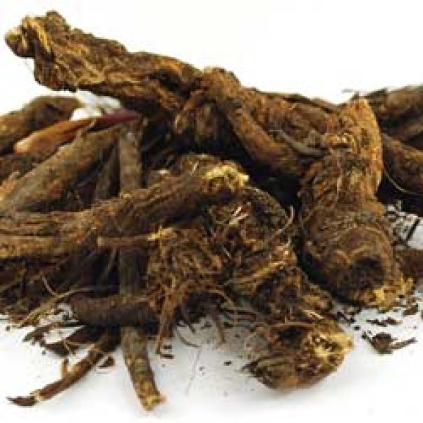 Golden Seal Root cut 1/2oz (Hydrastis canadensis)