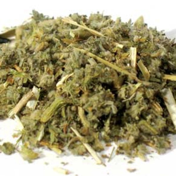 Horehound Cut 2oz (Marrubium vulgare)