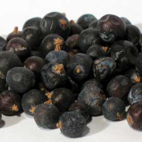 Juniper Berries Whole 2oz (Juniperus communis)