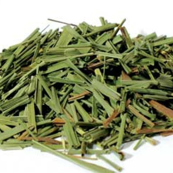 1 Lb Lemongrass cut (Cymbopogon citratus)