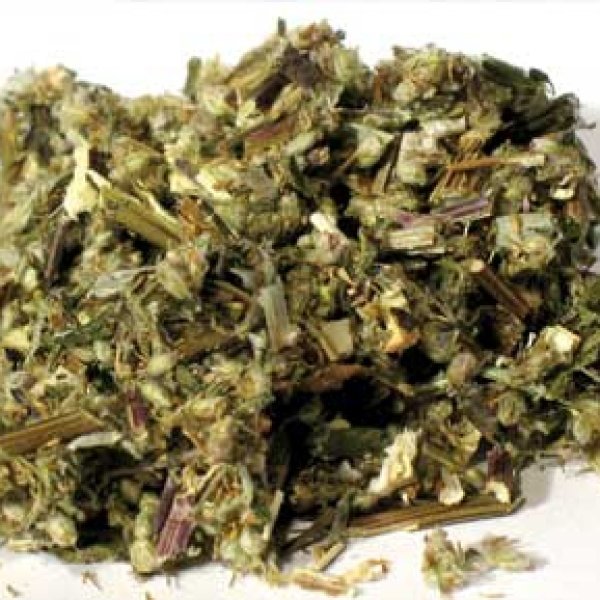 Mugwort cut 2oz  (Artemisia vulgaris)
