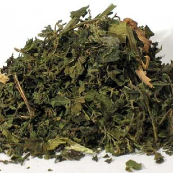 Nettle "Stinging)"Leaf Cut 2oz  (Urtica dioica)