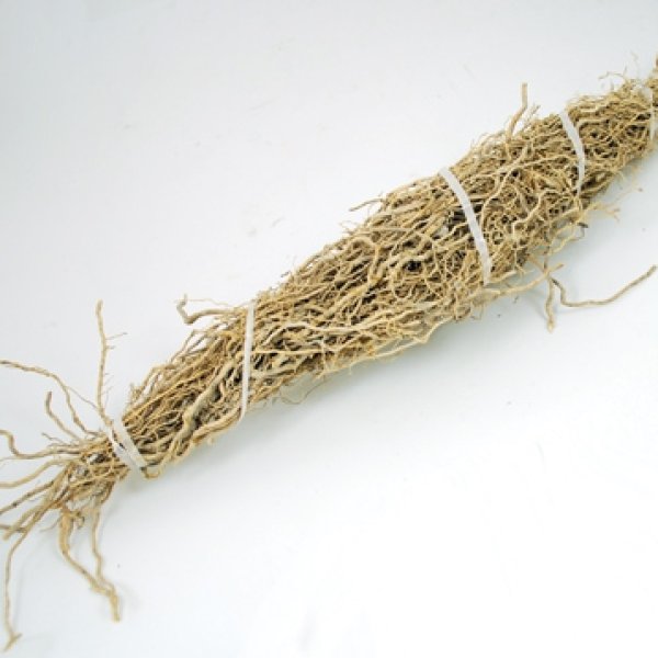 Patchouli Root 1 root bundle (Pogostemon cablin)