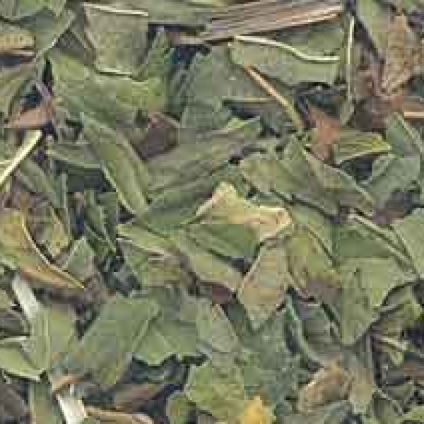 1 Lb Peppermint Leaf cut (Mentha piperita)