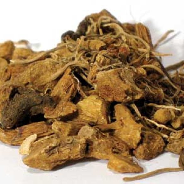 1 Lb Solomons Seal Root cut (Polygonatum species)