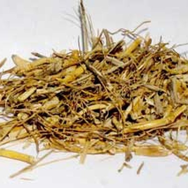 1 Lb Witches Grass cut (Agropryon repens)