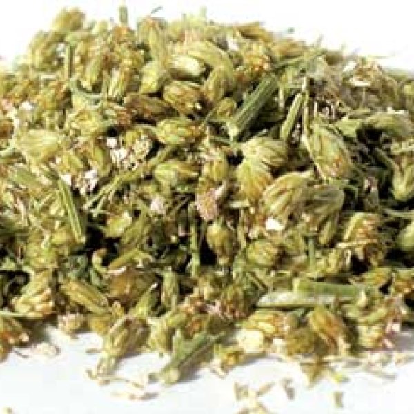 Yarrow Flower 2oz (Achilea millefolium)