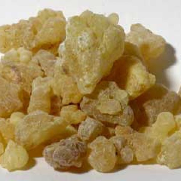 Frankincense Tears granular incense 1.5 oz