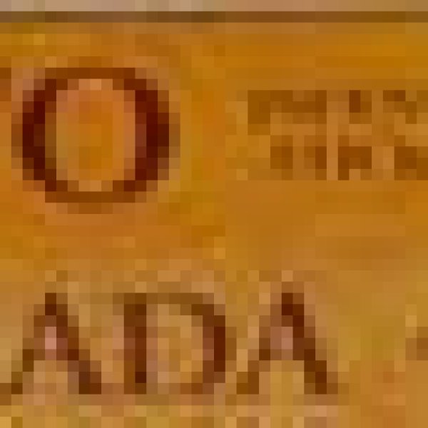 Palo Santo HEM stick 20 pack