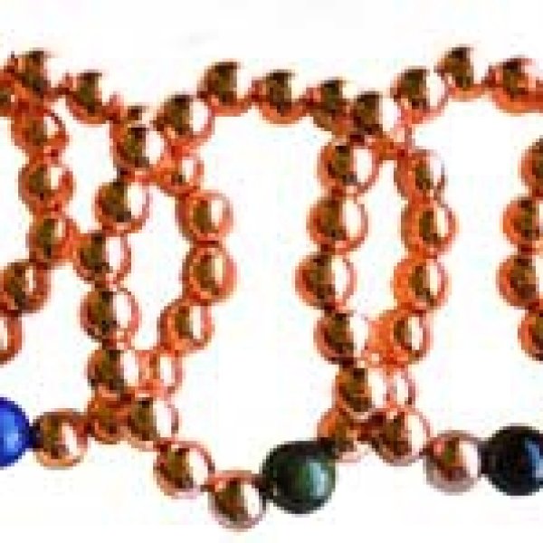 10mm Copper with asst stone bracelet