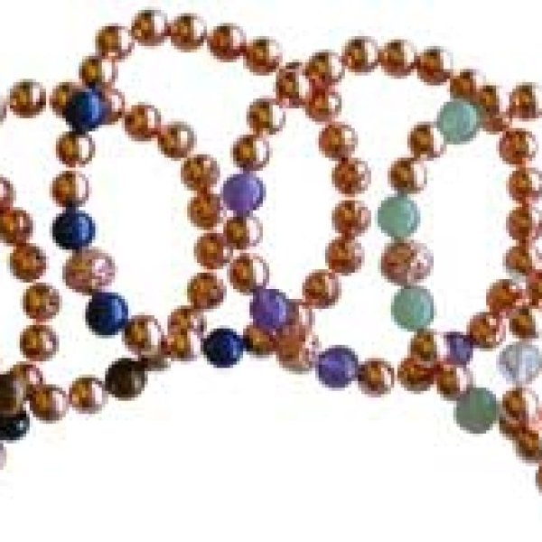 8mm Copper with asst stone bracelet