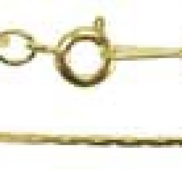 Gold Plated Chain 24"