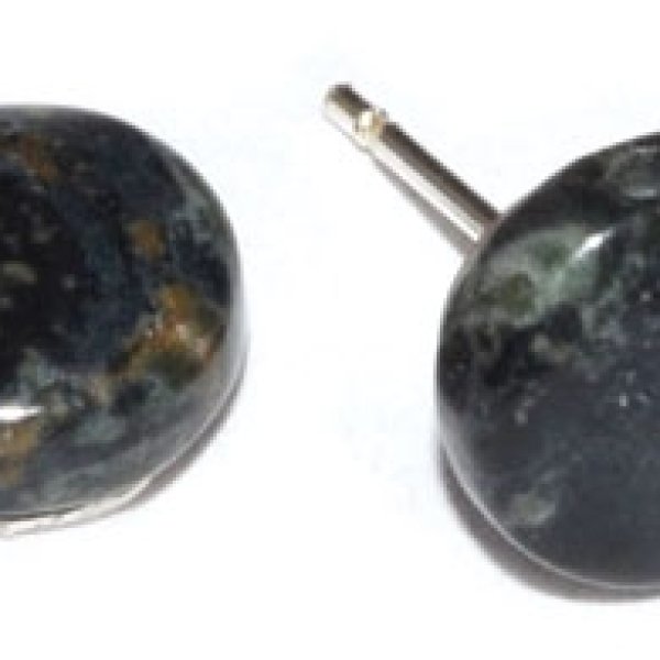 Kambaba Jasper stud earrings