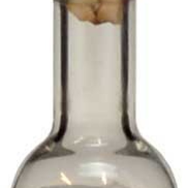 Bulb Spell Oil Bottle