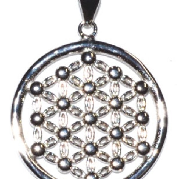 3/4" Flower of Life sterling pendant