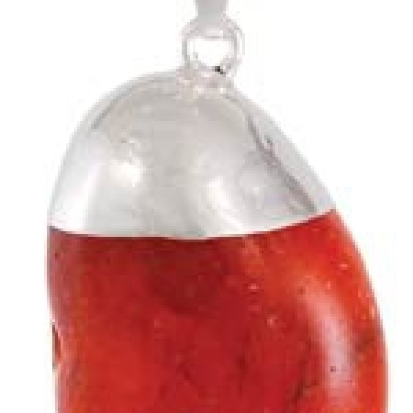 Carnelian tumbled pendant