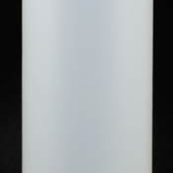 16 ounce Plastic Bottle with Flip Top