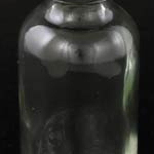 Clear 1oz Glass bottle & cap