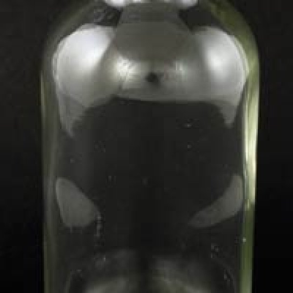 Clear 4oz Glass Bottle & Cap