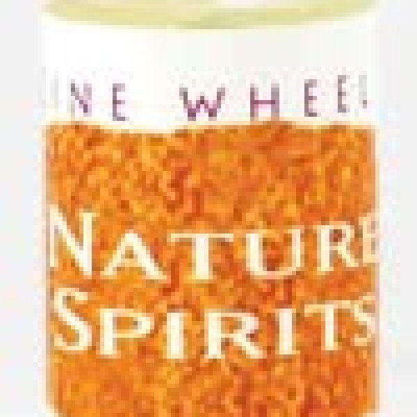 Pinion Pine Medicine Wheel 1 dramoil