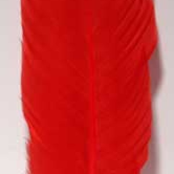 Red feather 12"