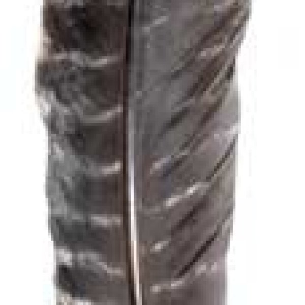 8-14" Turkey feather