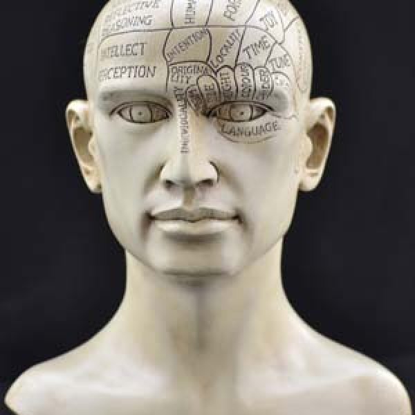 8" Phrenology Head