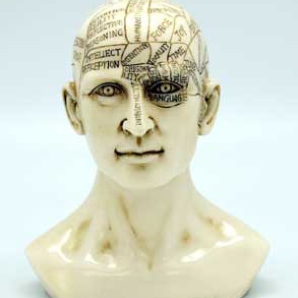 6" Phrenology Head