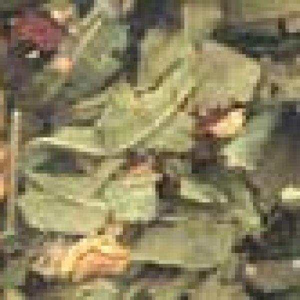 1 Lb Empowerment spell mix