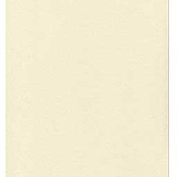 Heavy Parchment 250 Pack 8 1/2 x 11