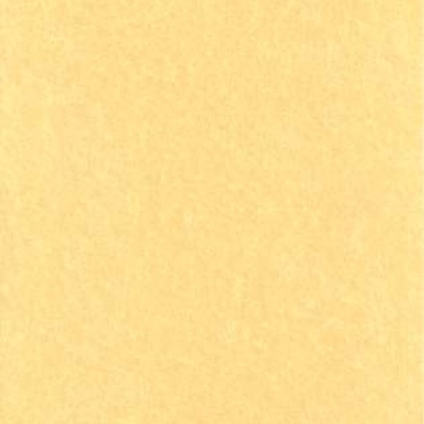 Light Parchment 5 Pack (8 1/2" x 11")