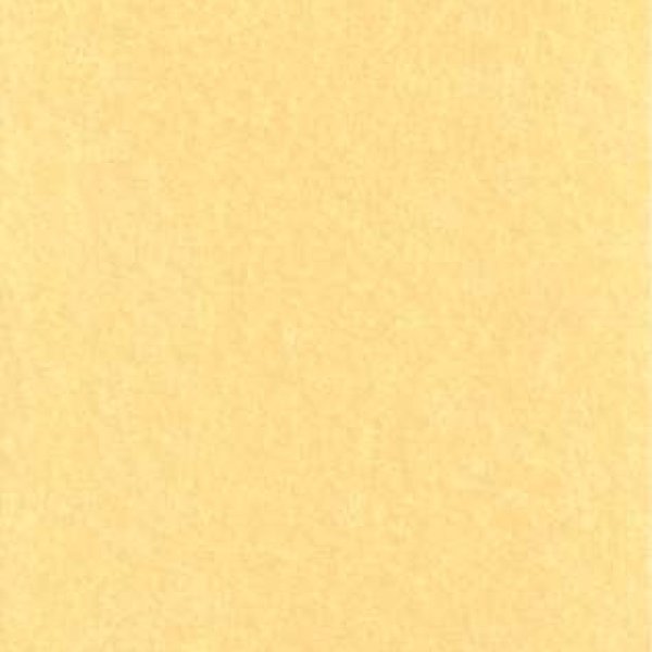 Light Parchment 500 Pack (8 1/2" x 11")