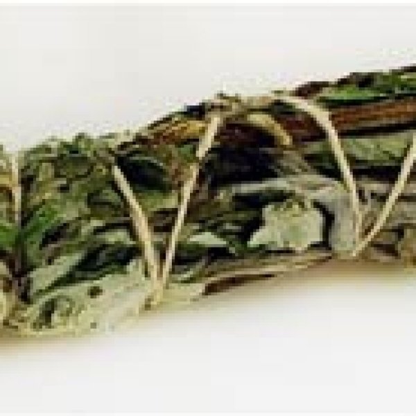 Black Sage smudge stick 4"