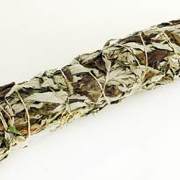 Black Sage smudge stick 8"