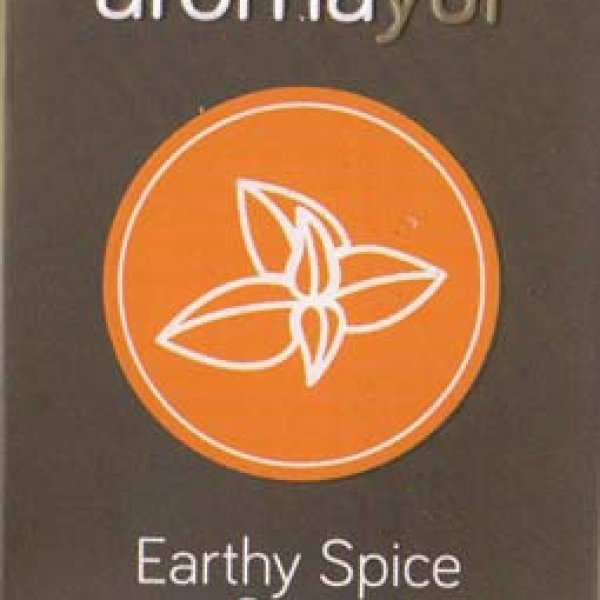 100g Earthly Spice soap