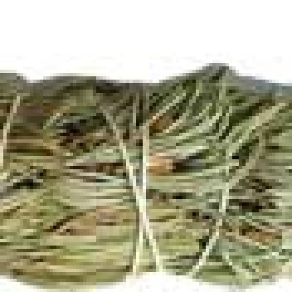 8" Pine smudge stick