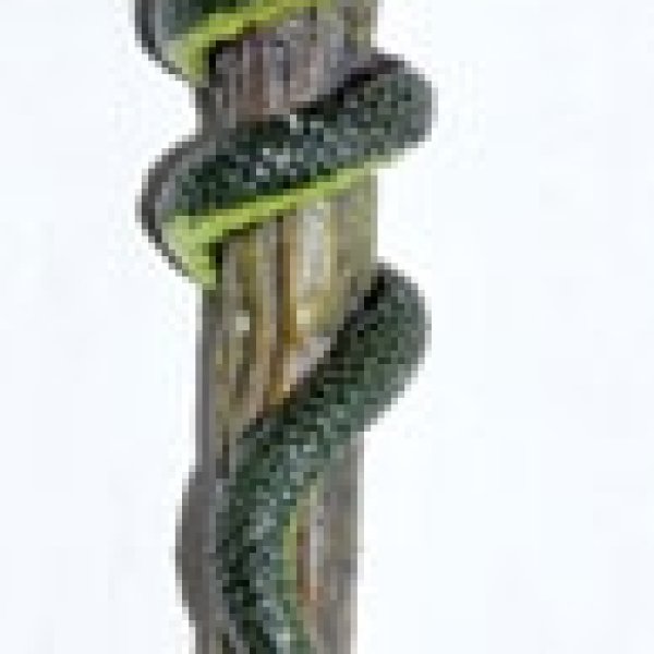 9 1/4" Snake wand