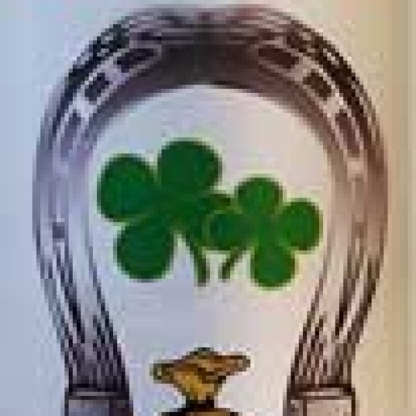 8oz Fast Luck (Suerte Rapida) wash