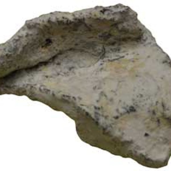 Wolfs Heart in envelope