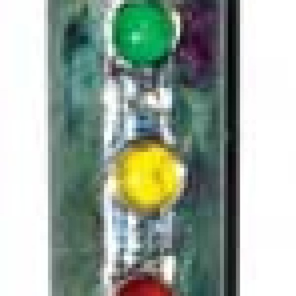 5 1/2" Ruby Zoisite healing wand