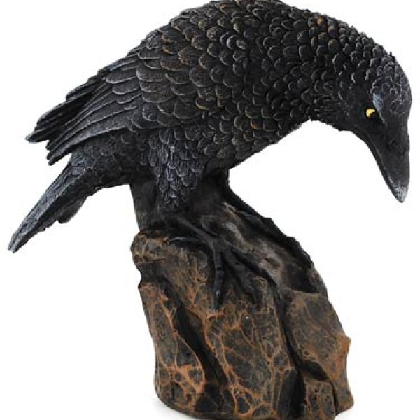 Downward Looking Raven 5 1/2"