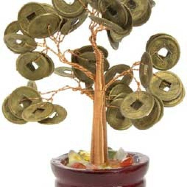 Money Tree 4"