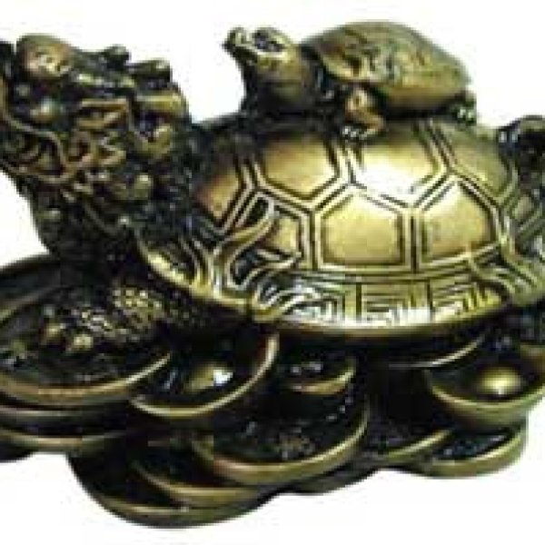 Money Turtle 2 1/2"